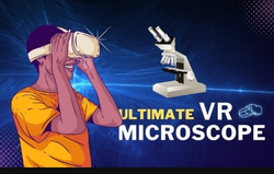 portfolio woocommerce